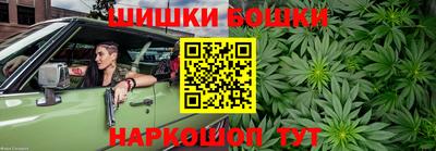 индика Будённовск