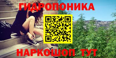 индика Будённовск