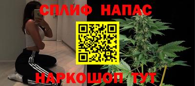 индика Будённовск