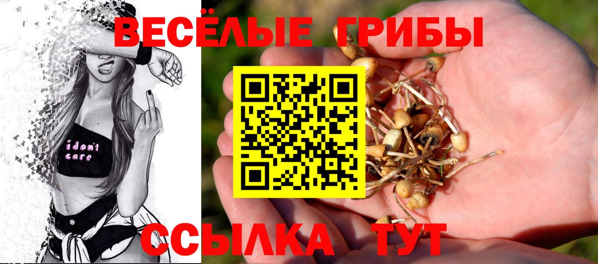 наркошоп  Вход с VPN  Апшеронск  Галлюциногенные грибы мицелий 