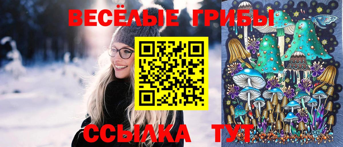 Псилоцибиновые грибы ЛСД Апшеронск